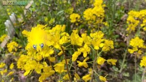 photo 14 2023 10 18 01 01 07