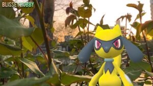 photo 35 2023 10 18 01 01 07