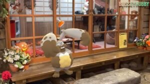 photo 38 2023 10 17 19 41 42