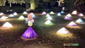 photo 47 2023 10 17 19 41 42