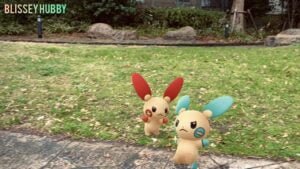 photo 66 2023 10 18 01 01 07