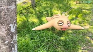 photo 6 2023 10 18 01 01 07